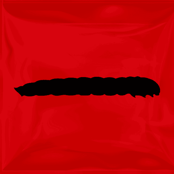 Mini Live Mealworms (1,000 Per Box) Mini Mealworm Feeders RodentPro